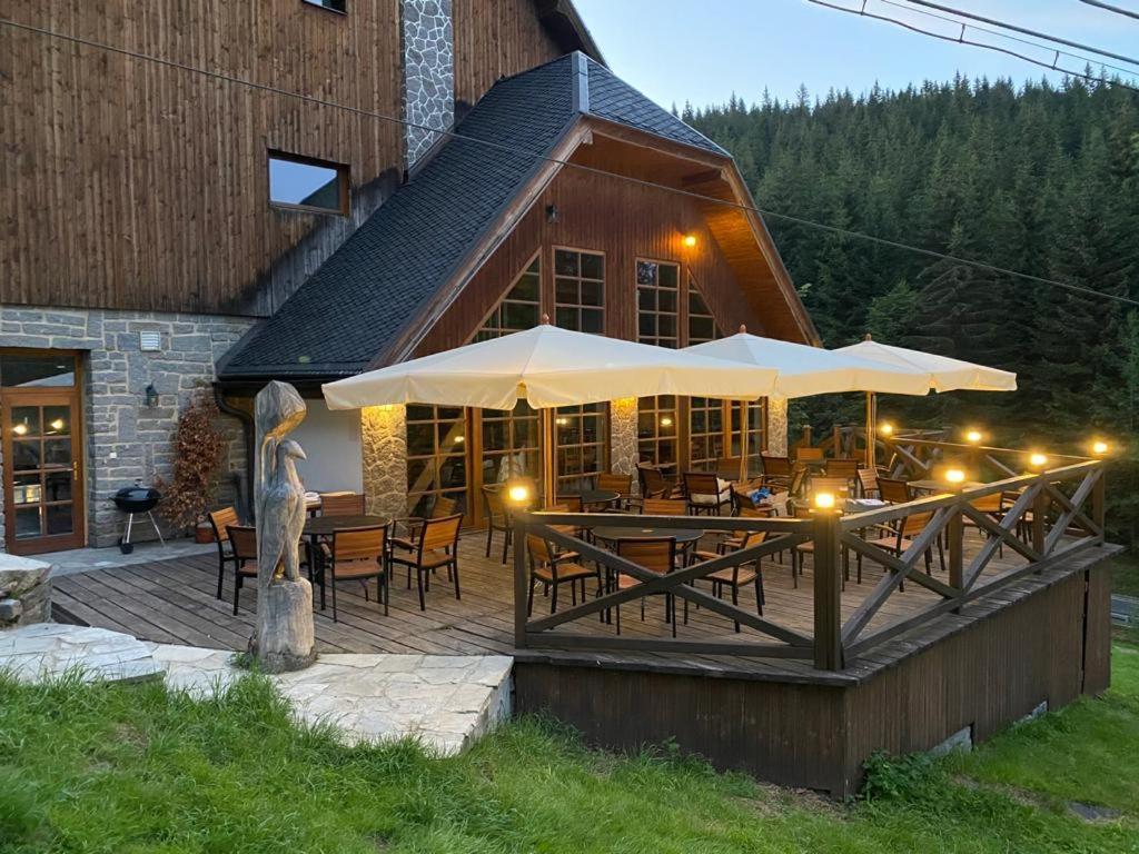 Horsky Hotel Vidly Karlova Studánka Exterior foto