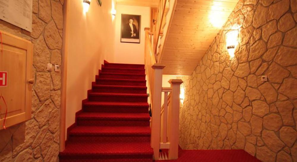 Horsky Hotel Vidly Karlova Studánka Exterior foto