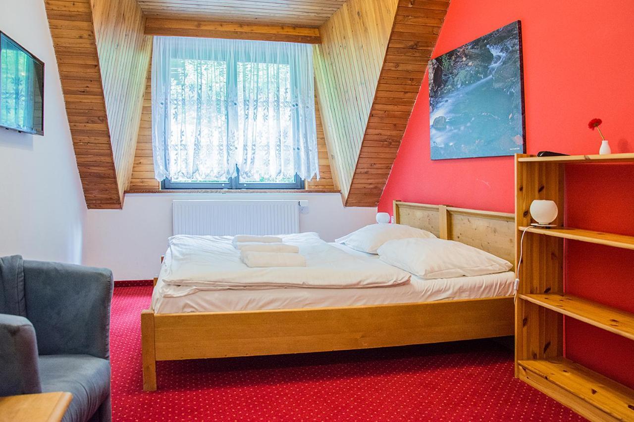 Horsky Hotel Vidly Karlova Studánka Exterior foto